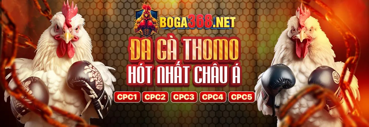 Banner quảng cáo các chương trình khuyến mãi và ưu đãi